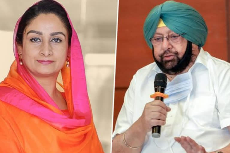 "Too little, too late": Capt Amarinder Singh on Harsimrat's resignation