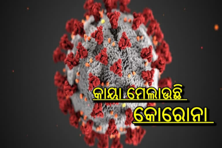 ରାଜ୍ୟରେ ଲମ୍ବୁଛି ସଂକ୍ରମଣର ଚେର, 24 ଘଣ୍ଟାରେ 4180 ମାମଲା ଟିହ୍ନଟ