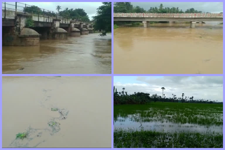 farmers-crop-lossed-by-flood-flow