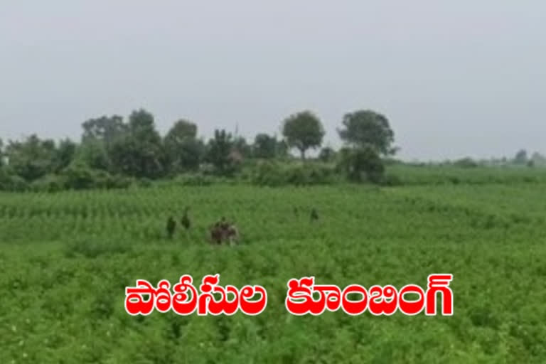 telangana police hunt for maoists in kumurambheem asifabad district