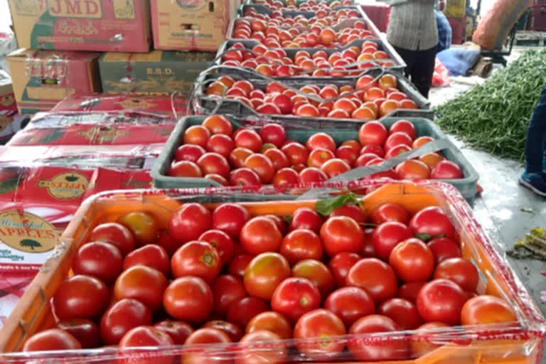 tomatoes price hike