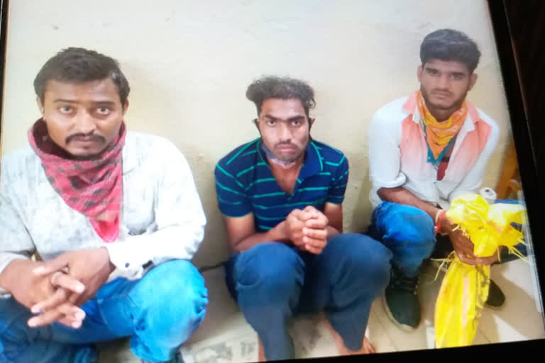 Smugglers who came to sell twin snakes were arrested