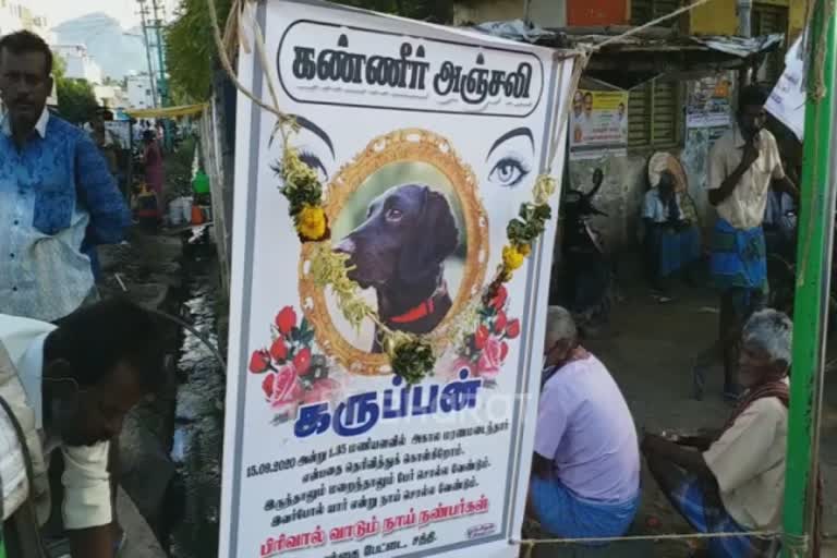 தெரு நாய் இறந்த துக்கத்தில் பிளக்ஸ் பேனர் வைத்த மக்கள்