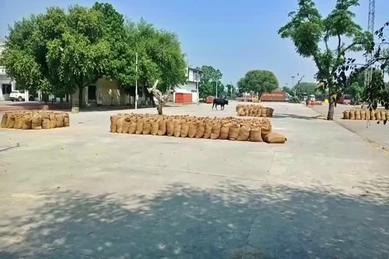 mandi trader indefinite strike against agricultural ordinance in panipat