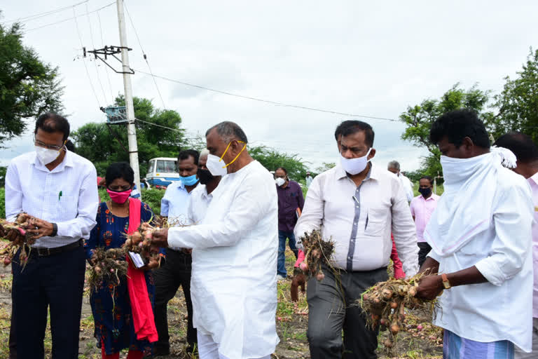 ಶಾಸಕ ತಿಪ್ಪಾರೆಡ್ಡಿ ಅವರಿಂದ ಬೆಳೆ ಸಮೀಕ್ಷೆ