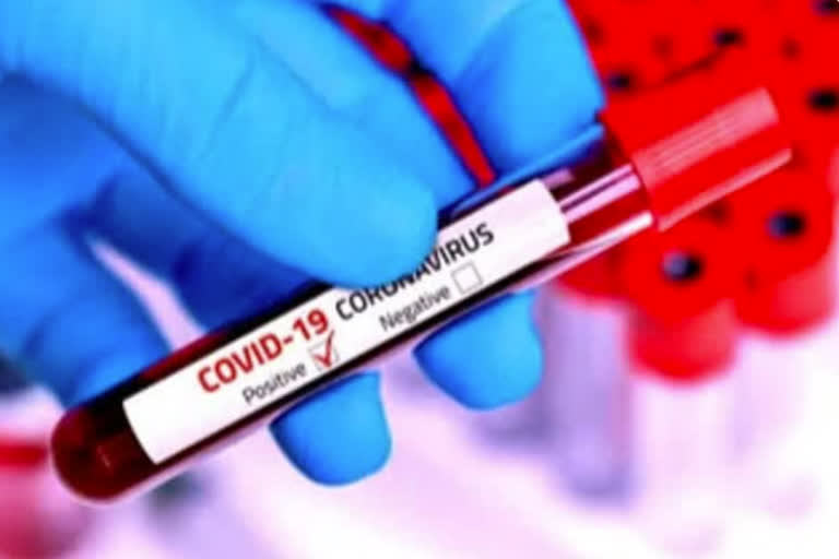 coronavirus positive in rohru