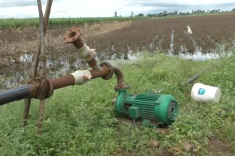 Water farm in torrential rains Chikkodi farmers in distress