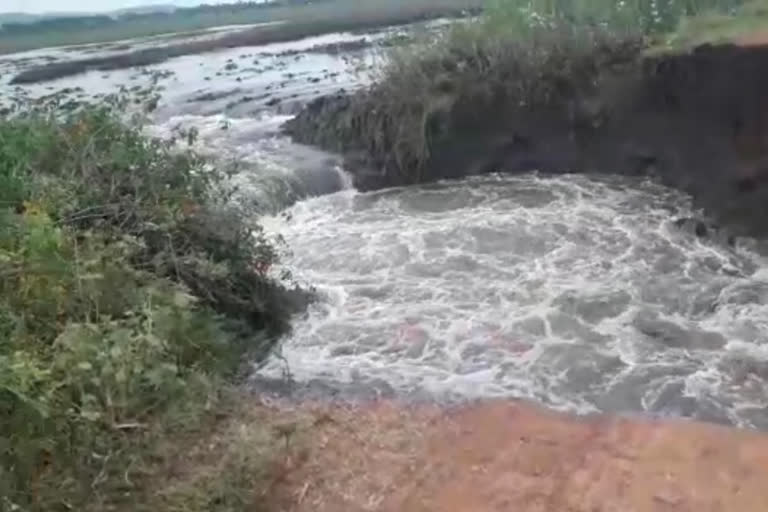 Hundreds of acres of farmland Submerged from  lake water