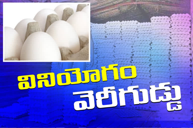 Increased egg sales in the combined  khammam district