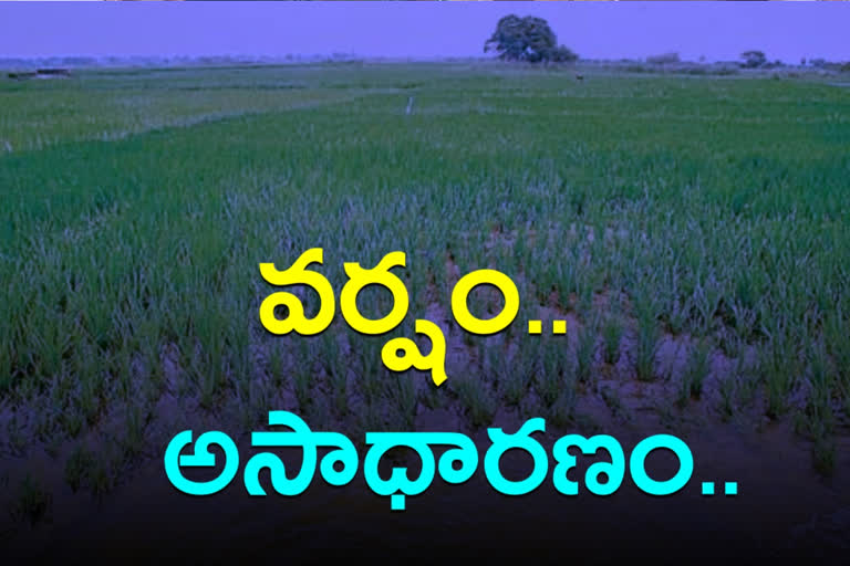 Yadadri district has received the highest rainfall during the season in a decade