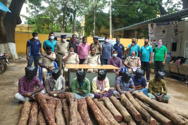 29 red sandalwood logs seized at Railway Kodur