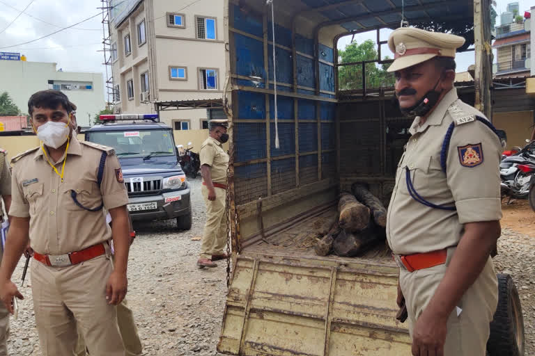 3 lakhs worth  sandalwood seized by hoskote police