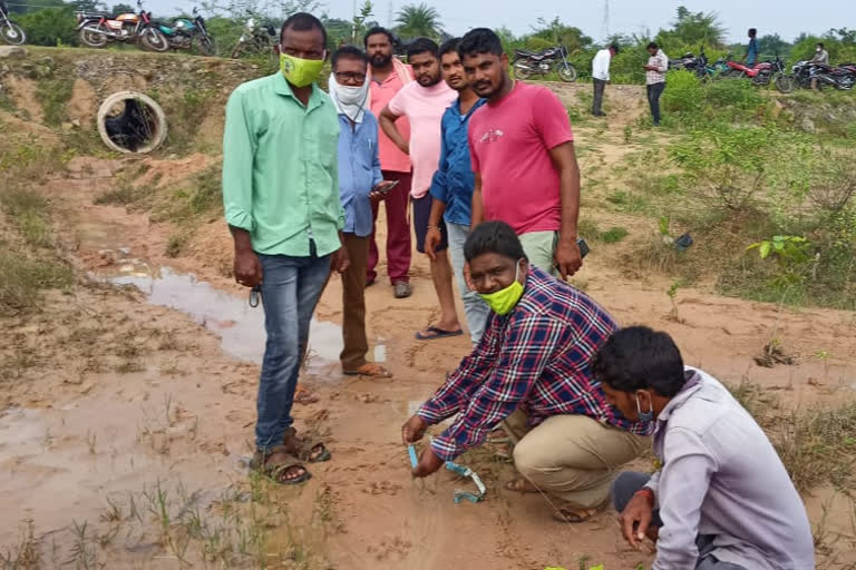 tiger roaming in peddapalli district