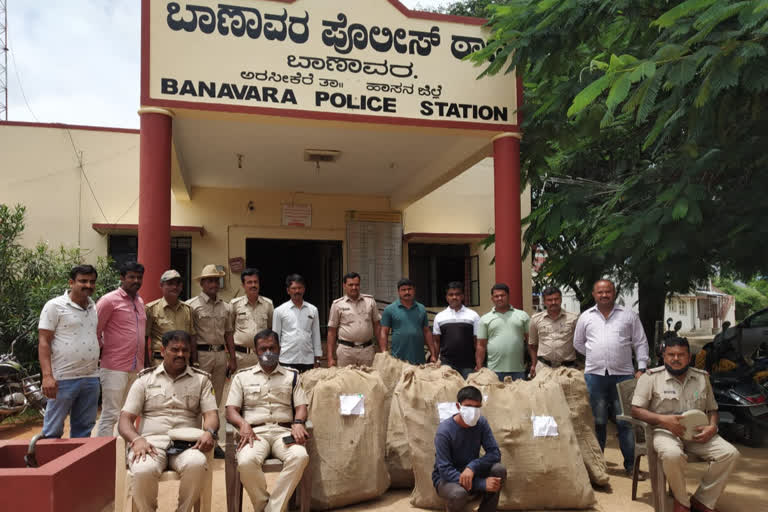Ganja worth Rs 30 lakh seized in Hassan