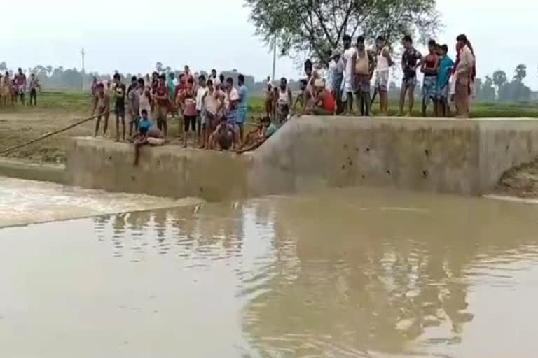 two children Dead body found of river in godda, two children Dead body found in godda, Two children drowned in river in Godda, गोड्डा में दो बच्चों का शव नदी से मिला, गोड्डा में दो बच्चों का मिला शव, गोड्डा में नदी में बहे दो बच्चे