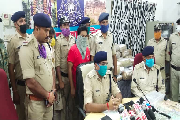 Ganja smuggler arrested