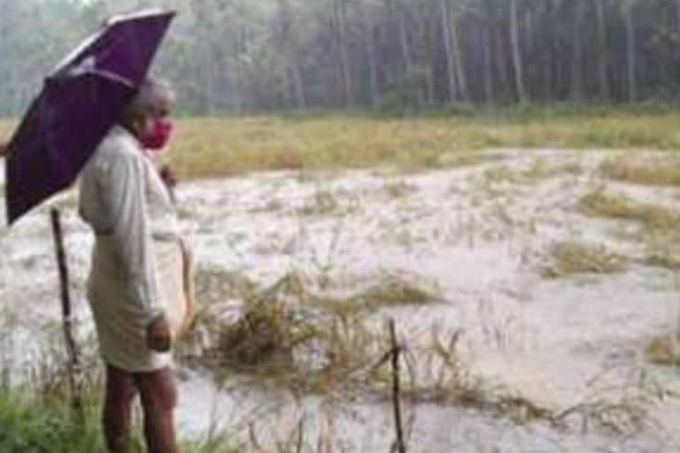 Heavy rain kannur  red alert in kannur  heavy rain kannur updates  red alert kerala  കണ്ണൂരിൽ കനത്ത മഴ  കണ്ണൂരിൽ കനത്ത മഴ തുടരുന്നു  കണ്ണൂരിൽ റെഡ്‌ അലേർട്ട്  കണ്ണൂരിൽ മഴയിൽ നാശനഷ്‌ടം