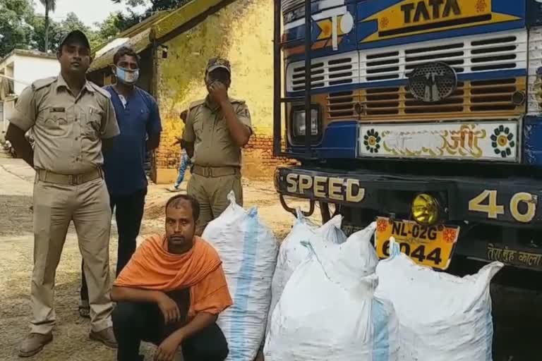 cannabis seized in kandhamala