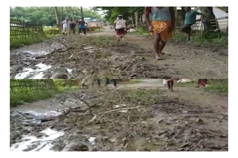 সমাগত নিৰ্বাচন নিৰ্মাণ নহ'ল পথ, আমগুৰি সমষ্টিত ৰাইজৰ দুৰ্দশা