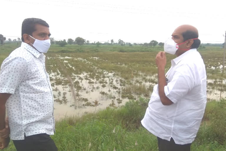 ಬೀದರ್​ಗೆ ಶಾಸಕ ಬಂಡೆಪ್ಪ ಖಾಶೆಂಪುರ್  ಭೇಟಿ