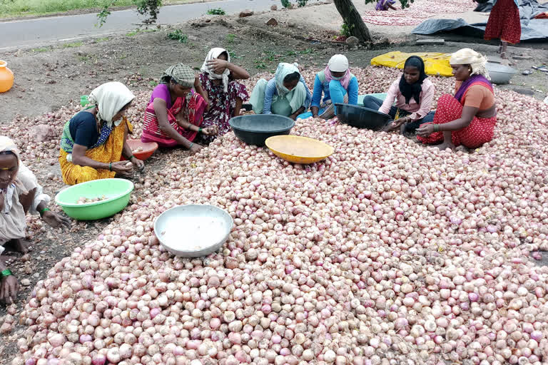 ಸಂಕಷ್ಟದಲ್ಲಿ ಈರುಳ್ಳಿ ಬೆಳೆಗಾರರು