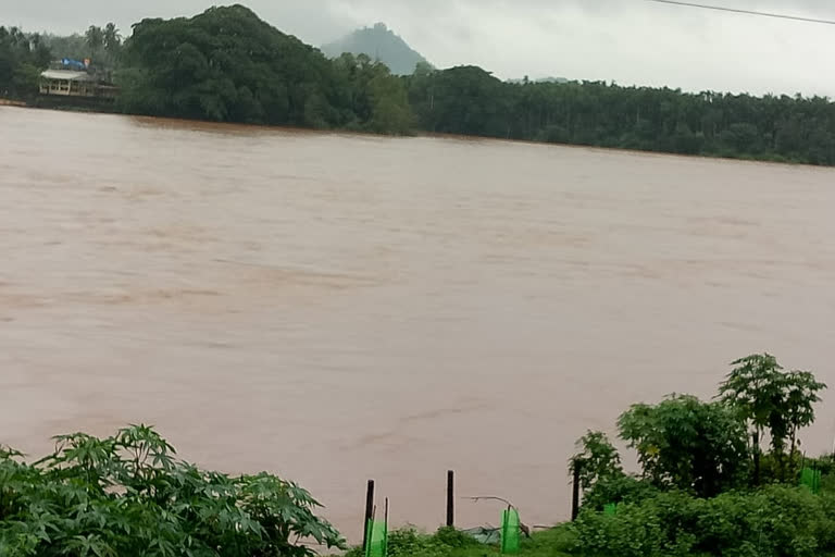 ತುಂಬಿ ಹರಿಯುತ್ತಿರುವ ನೇತ್ರಾವತಿ