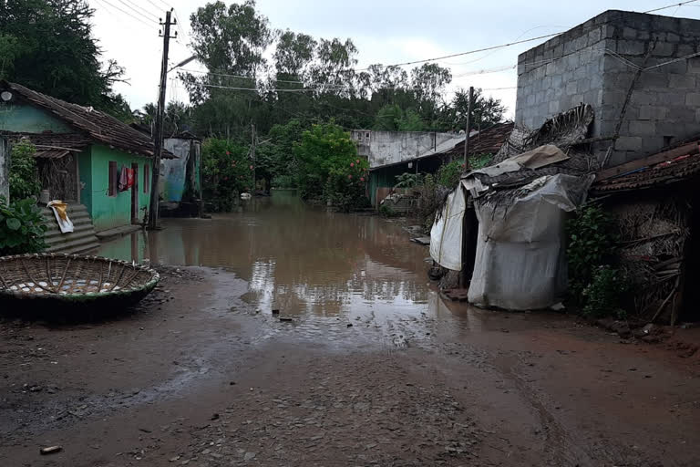 Bhadra River Water  has penetrated