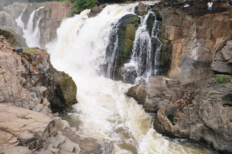 Hoganekkal falls