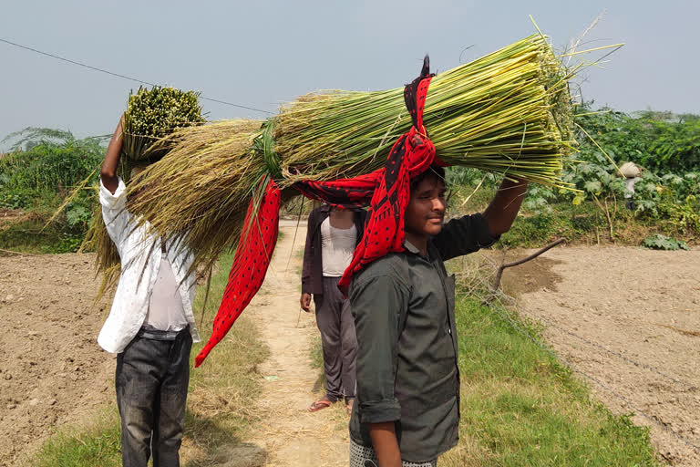 किसानों को कृषि सुधार विधेयक के बारे नहीं है कोई जानकारी