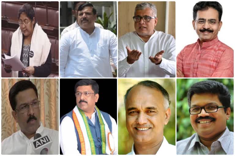 RS Chairman suspended 8 MPs for Sunday's ruckus