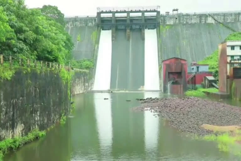 പീച്ചി ഡാംThrissur Peechi Dam opened  പീച്ചി ഡാം  തൃശൂർ പീച്ചി ഡാം തുറന്നു  പീച്ചി ഡാം തുറന്നു  Peechi Dam opened  Peechi Dam