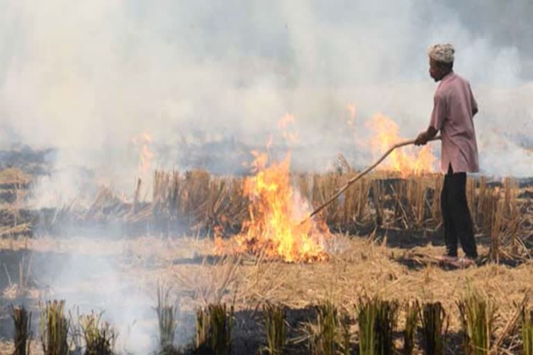 Stubble Burning Can Exacerbate Corona virus Crisis