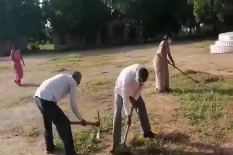 Luni teachers cut thorny bushes, शिक्षकों ने विद्यालय परिसर में की साफ-सफाई