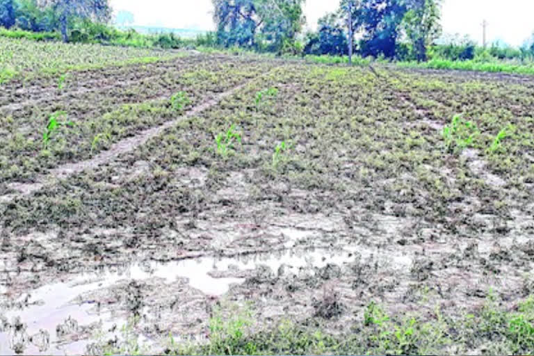 heavy rains in ananthapuram district