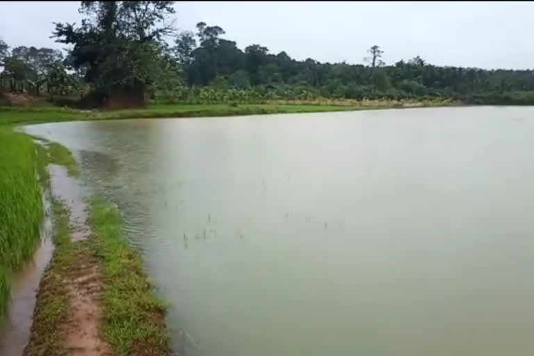 Heavy Rain In Chikkamagaluru