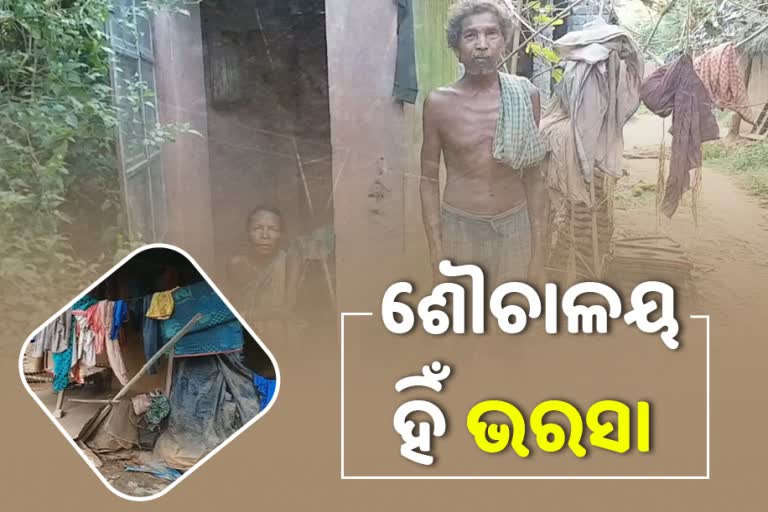 mayurbhanj latest news, toilet shelter in mayurbhanj, giri dehury and jhati dehury, poor tribal family in mayurbhanj, ମୟୂରଭଞ୍ଜ ଲାଟେଷ୍ଟ ନ୍ୟୁଜ୍‌, ମୟୂରଭଞ୍ଜରେ ଶୌଚାଳୟ ସାହା, ଗିରି ଦେହୁରୀ ଓ ଝାଟି ଦେହୁରୀ, ମୟୂରଭଞ୍ଜର ଗରିବ ଆଦିବାସୀ ପରିବାର