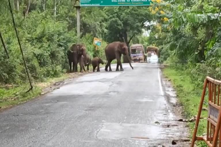 Traffic jam on Bangalore-Dindigul National Highway