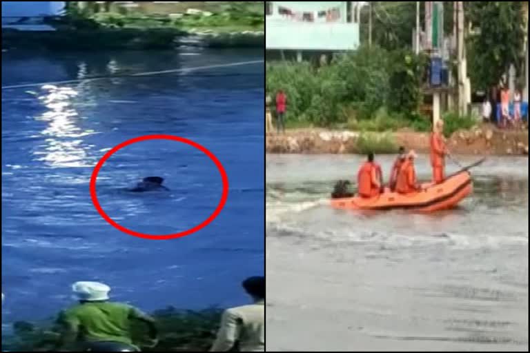 Hyderabad man washed away in floodwater