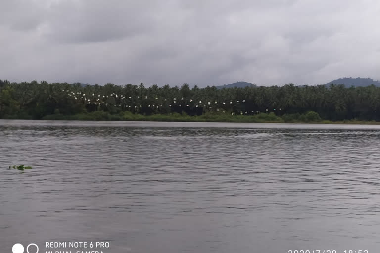 linganamakki reservoir