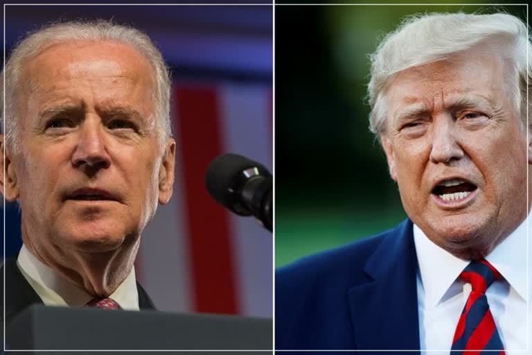 trump biden