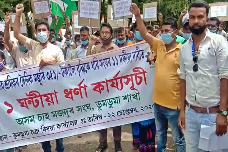 ACMS protest in front of circle office dumduma tinsukia assam etv bharat news