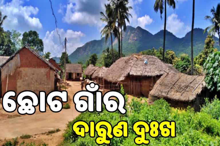 ଶୋଚନୀୟ ସ୍ଥିତିରେ ସିନ୍ଦୁରିଆ ଗାଁ, ନାହିଁ  ରାସ୍ତା କି  ପକ୍କା ଘର