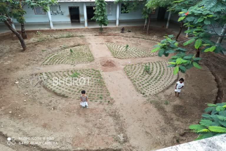 instructions-to-grow-vegetables-in-government-school-and-anganwadi