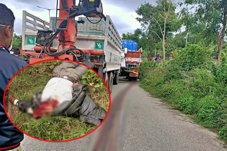 Rider dies in bike-lorry collision