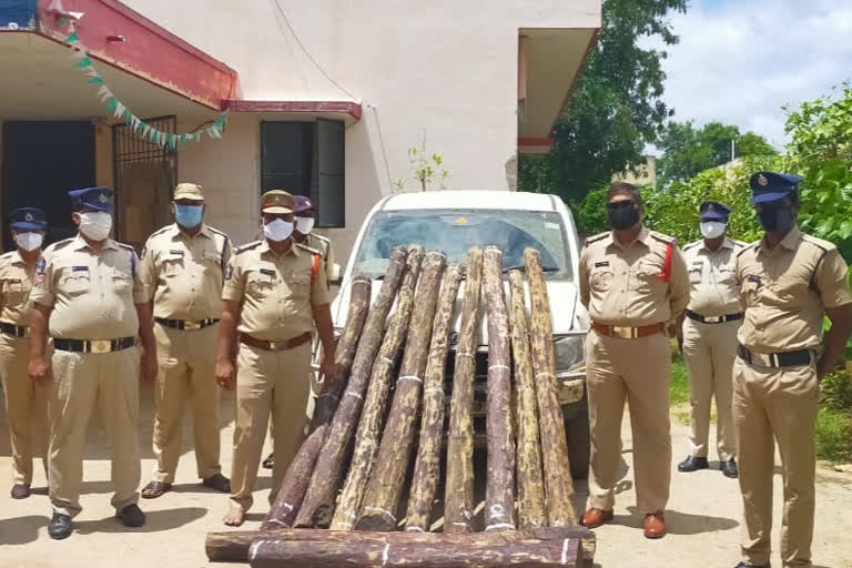 eleven-red-sandalwood-logs-being-smuggled-vehicle-seized-in-yerravaripalyam-chitthore-distrct