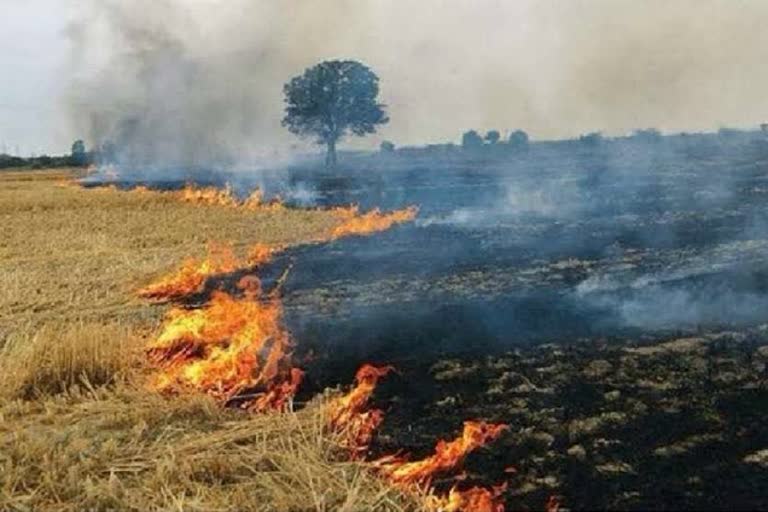 Government created four zones for stopping stubble in haryana