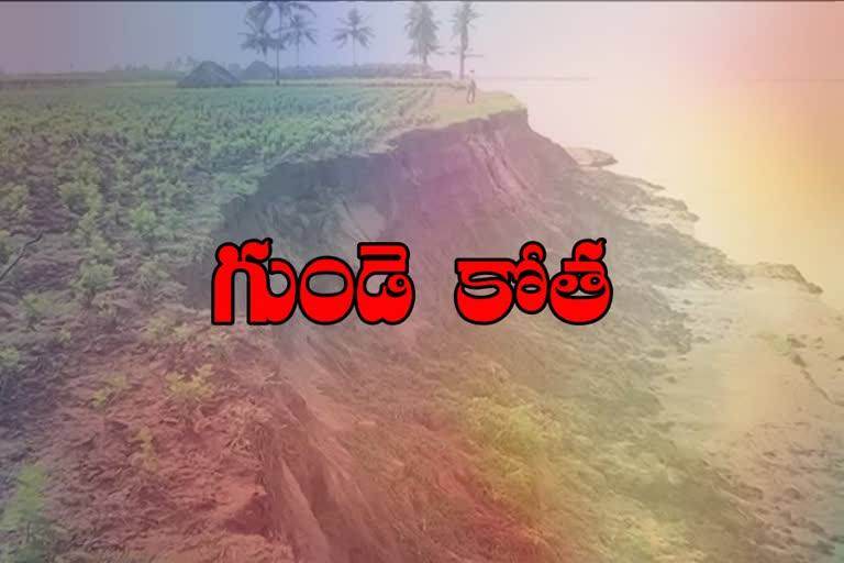 Agricultural lands affected by Godavari erosion in east godavari