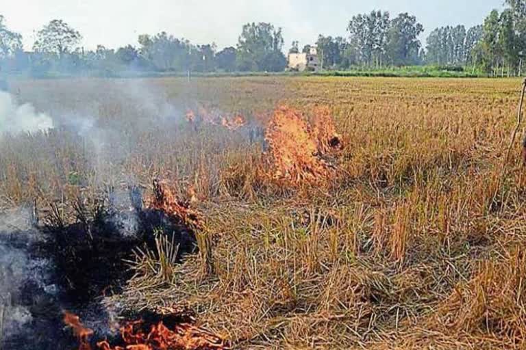 straw burning