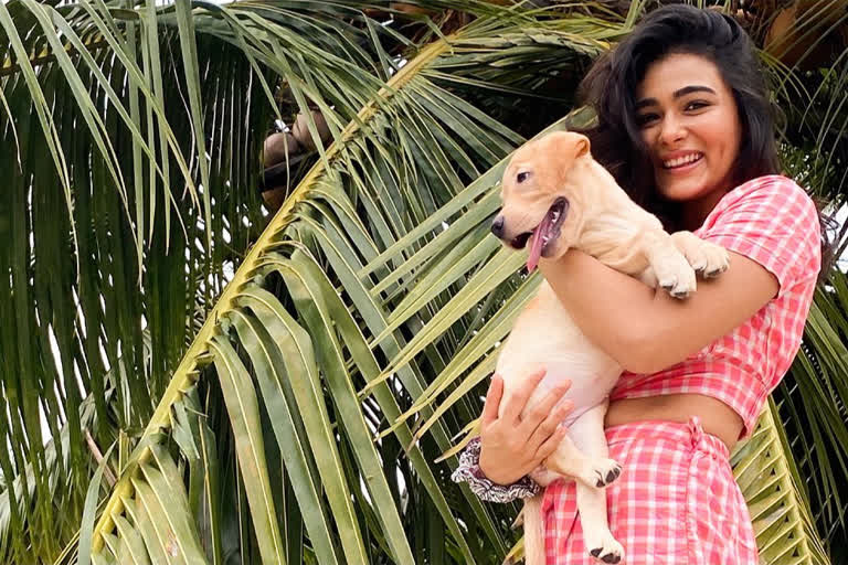 Shalini Pandey turns 27, hopes the new year is extraordinary