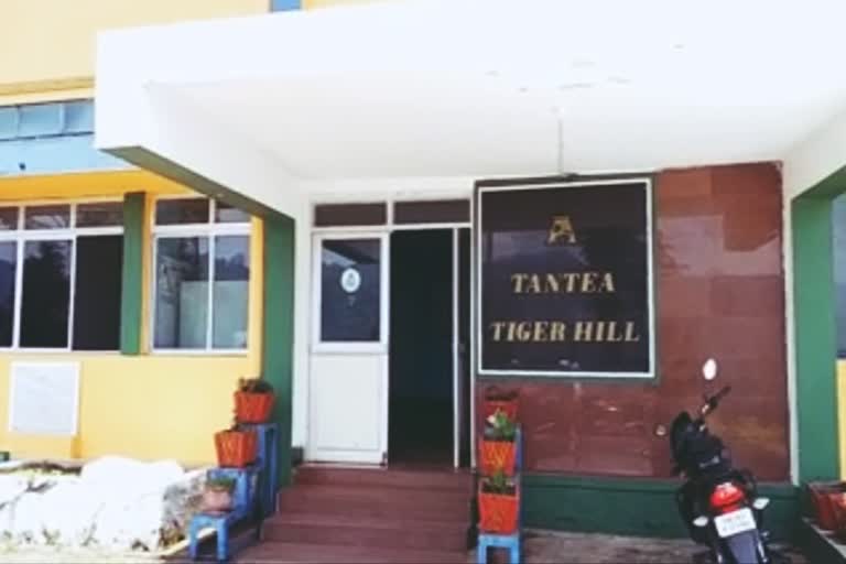 nilgiris-tantea-